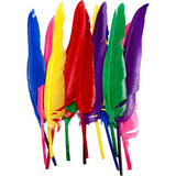 Plumes Creativ company, l: 27 cm, différentes couleurs, 12 pièces 1 boîte