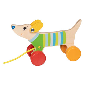 Animal de trait Goki - chien