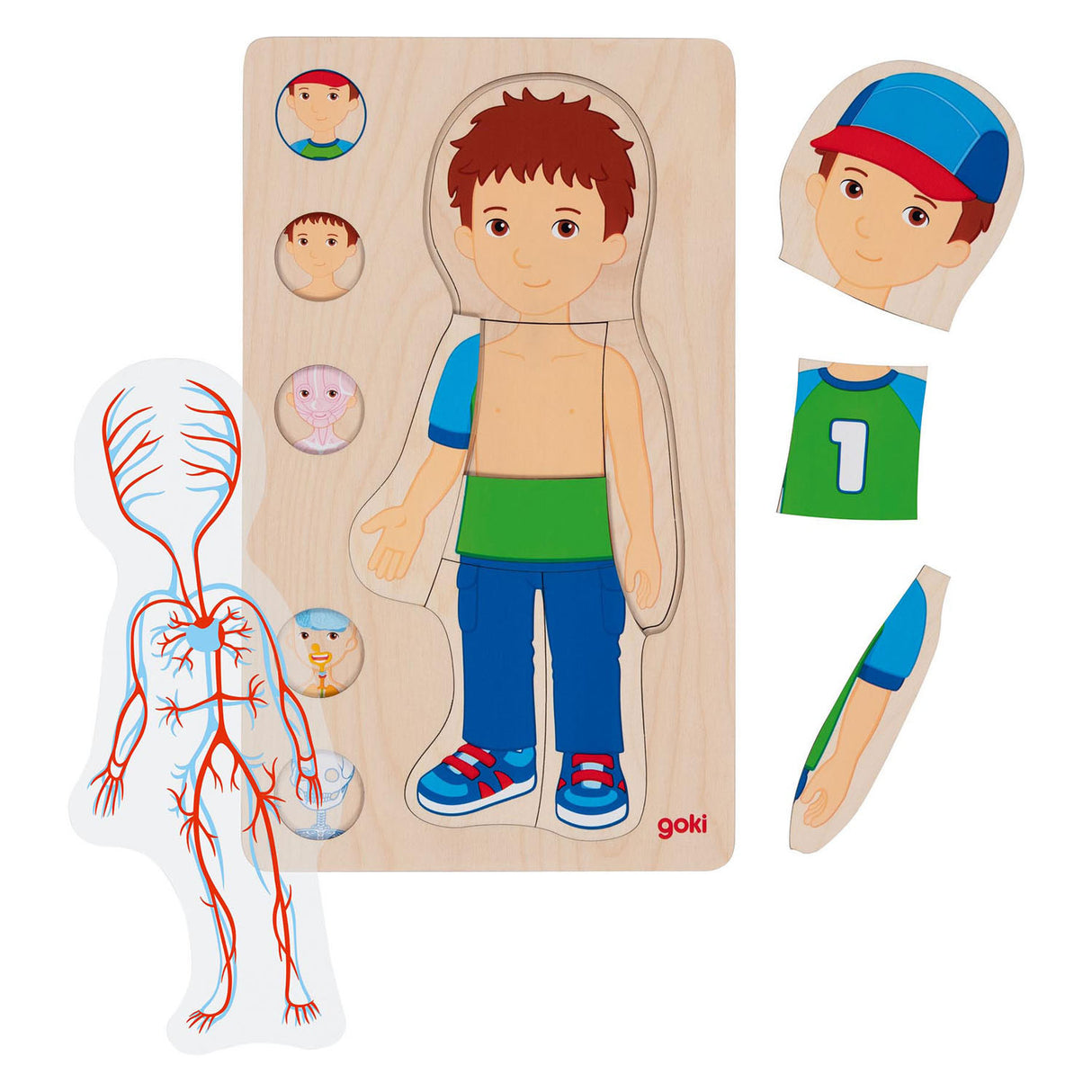 GOKI Drewniana warstwa Puzzle Human Body Boy, 29st.