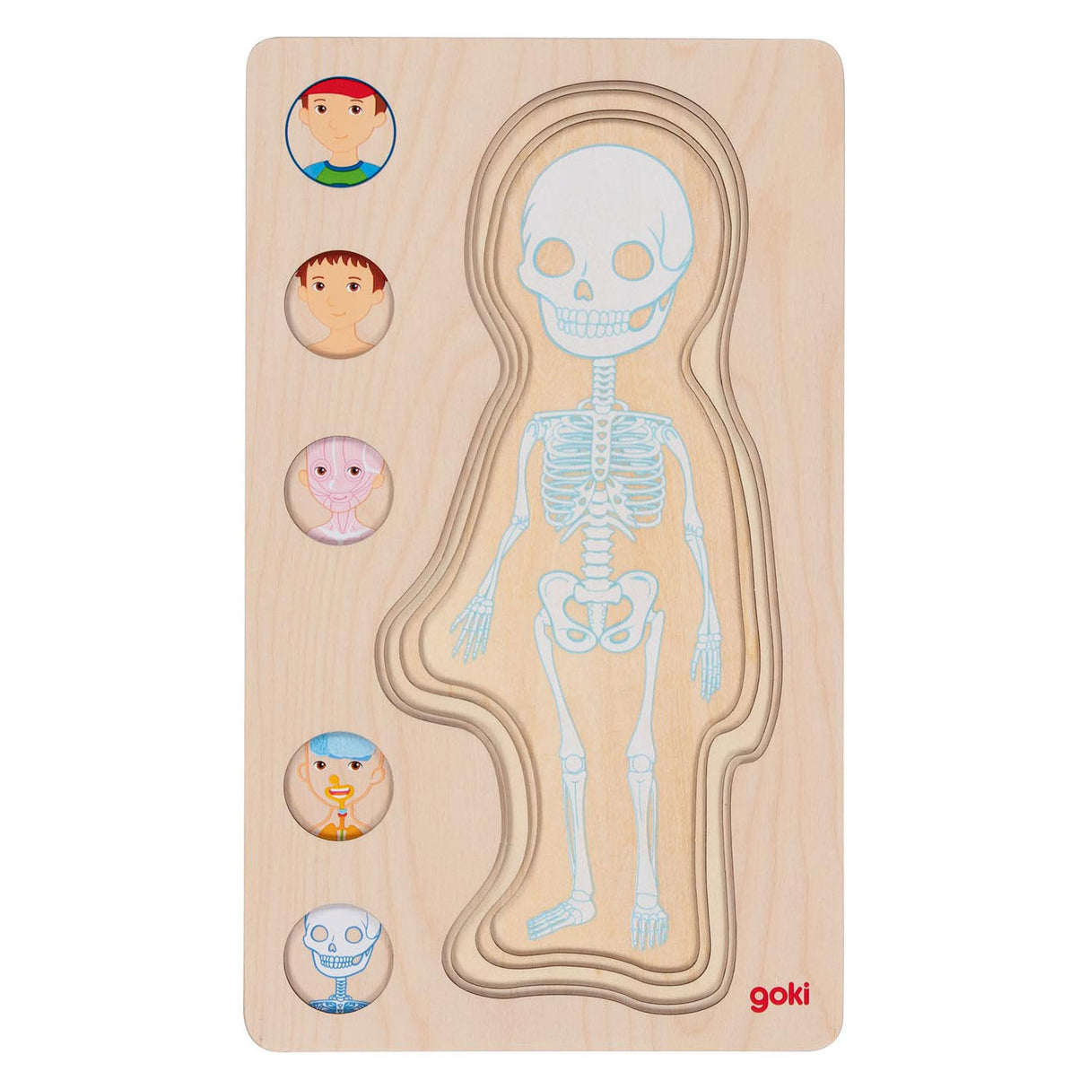 Goki wooden layer puzzle Human body boy, 29st.