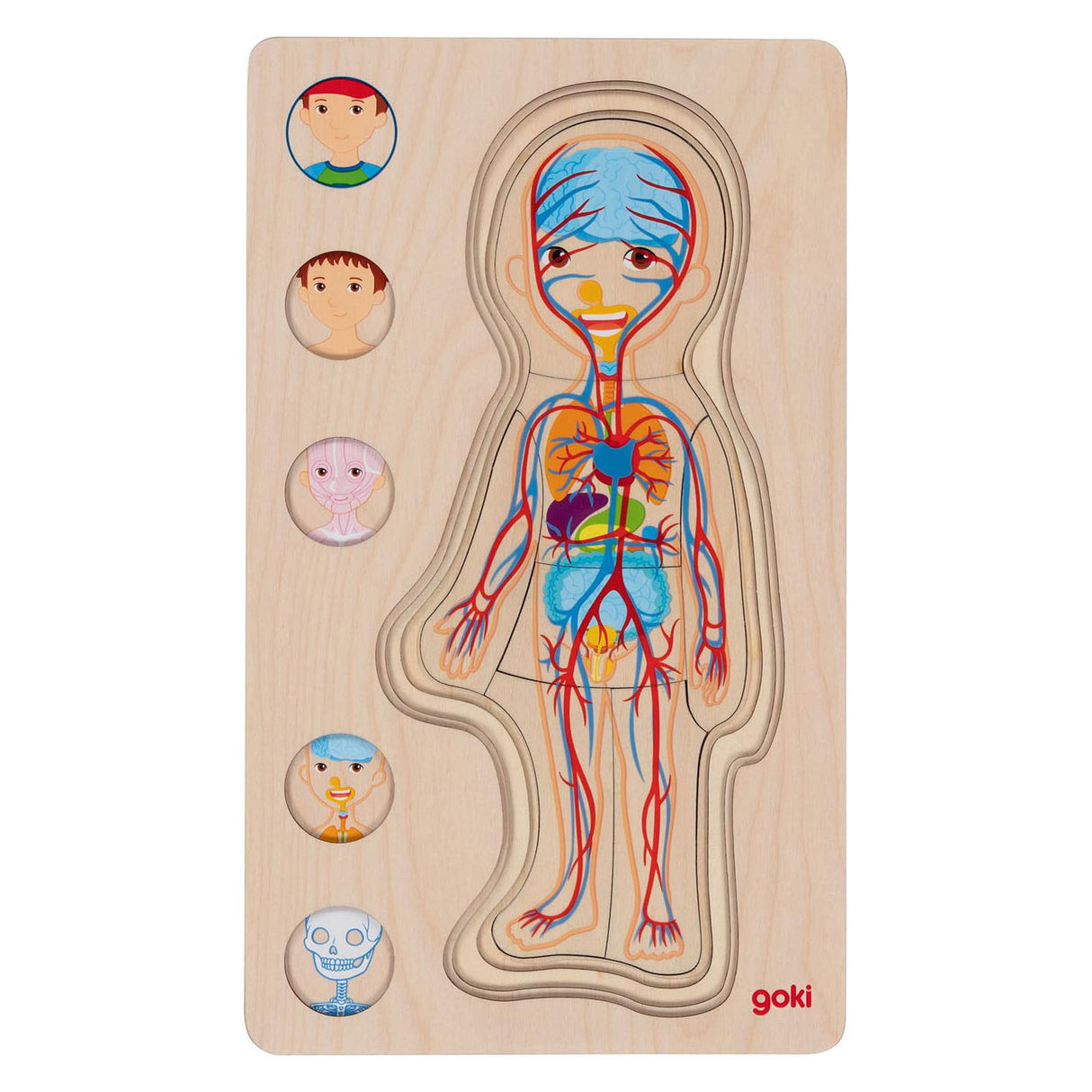 GOKI Drewniana warstwa Puzzle Human Body Boy, 29st.