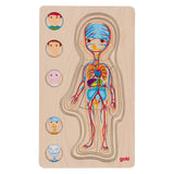 Goki wooden layer puzzle Human body boy, 29st.