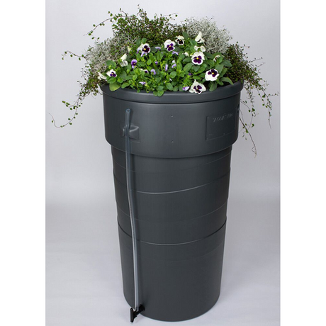 Jardinière de jardin en baril de pluie 230l