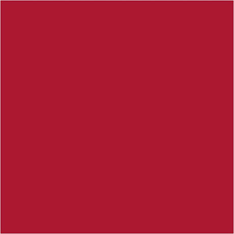 Carton d'entreprise Creativ, feuille 50x70 cm, 270 gr, rouge de Noël, 100 feuilles 1 boîte