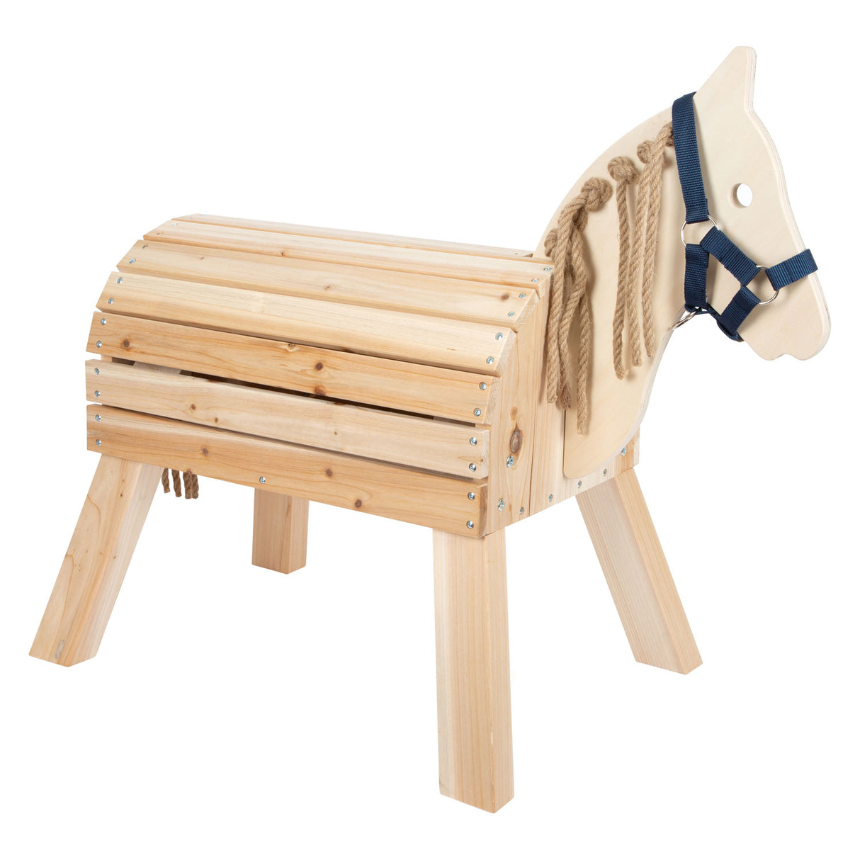 Petit pied de cheval compact