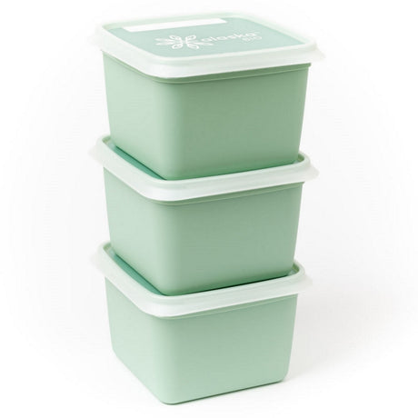 Dbp boîtes de congélation alaska carrées 0,75l 3 pièces vert menthe