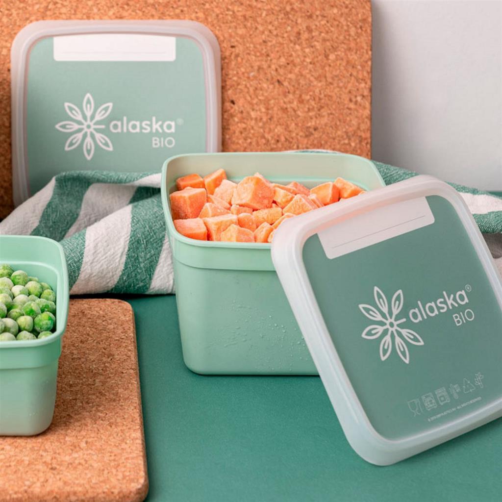 Dbp boîtes de congélation alaska carrées 0,75l 3 pièces vert menthe