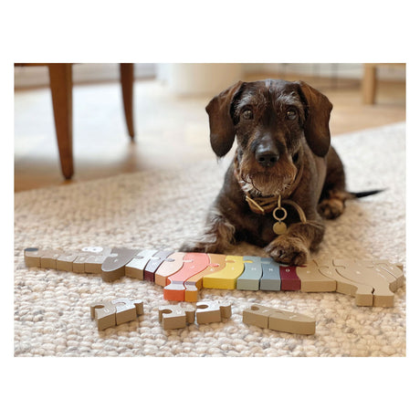 Small foot - puzzle en bois lettres et formes chien, 26 pcs.