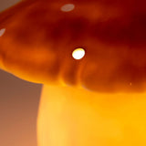 Lampe Egmont champignon chocolat + variateur
