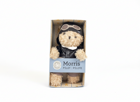 Egmont peluche pilote ours emballage cadeau