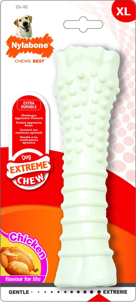 Os dur mordant Nylabone - poulet - pour chiens jusqu'à 30 kg