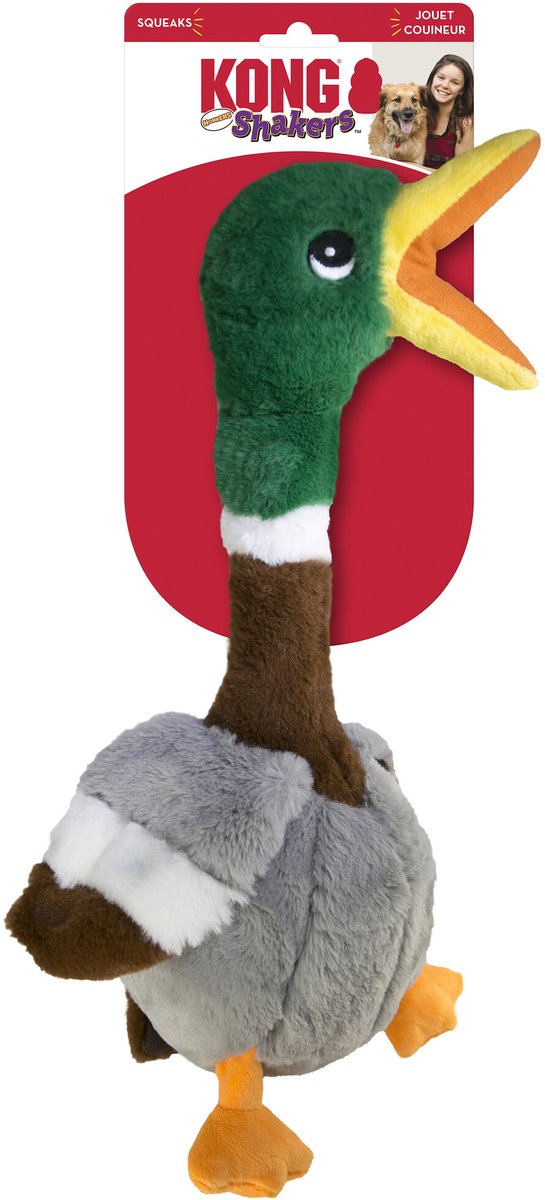 Kong shakers honkers duck - jouet pour chien - gris marron vert grand