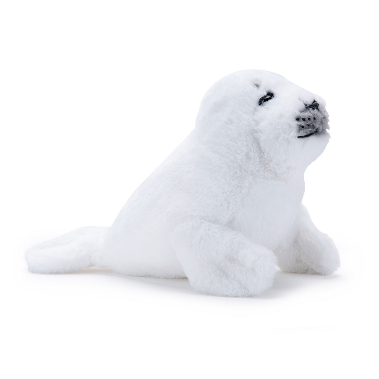 Sceau en peluche Simba National Geographic, 25 cm