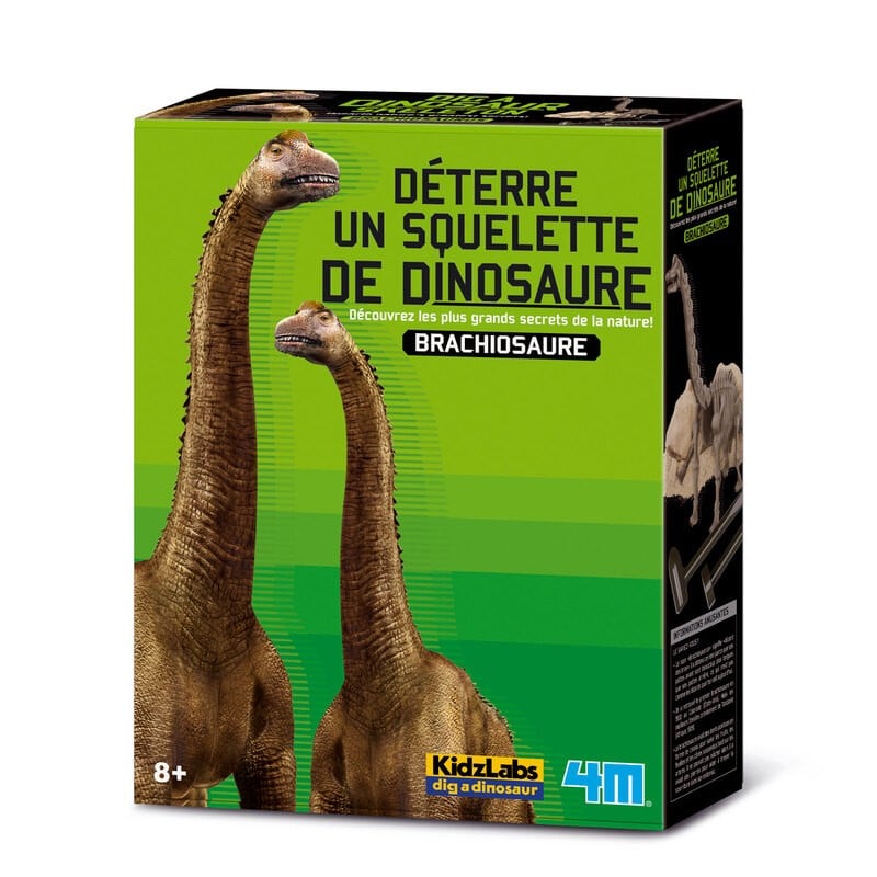4 m creusez votre propre dinosaure sur le T Rex Kidz Labs