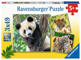 Ravensburger puzzle panda, tigre et lion - puzzle - 3x49 pièces
