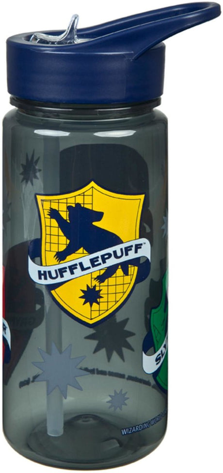 Bouteille à boire Harry Potter | 4 pièces