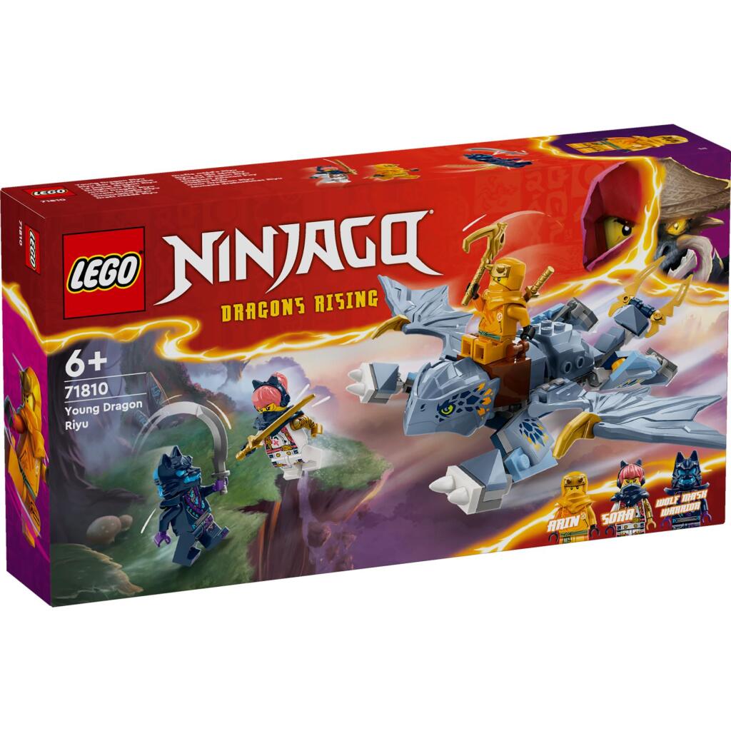 Lego ninjago 71810 jonge draak riyu