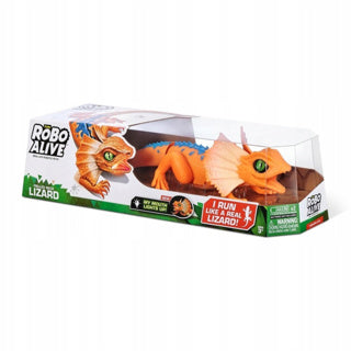 Lézard Robo vivant assorti | 2 pièces