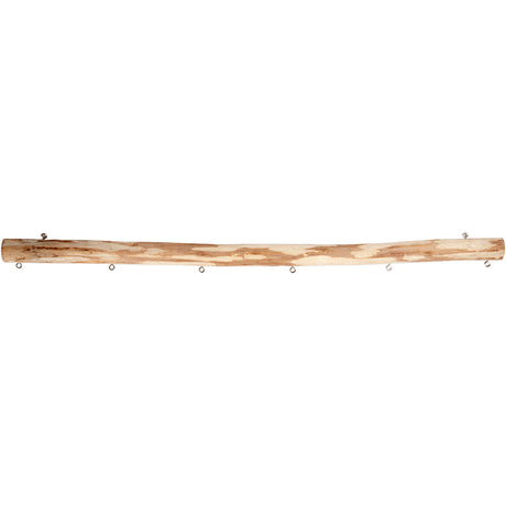 Https : www.ccobby.nl display-stick-l-40-cm-d-15-20-mm-1-piece