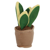 Pluchiez plantes peluche 15 cm assorties | 16 pièces