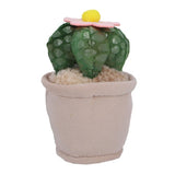 Pluchiez plantes peluche 15 cm assorties | 16 pièces