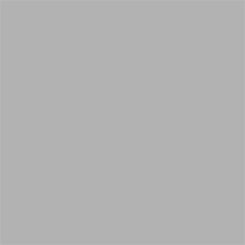 Papier de fond supérieur 72 Gris fossile 1,35 x 11m