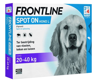 Frontline Hundespot auf groß