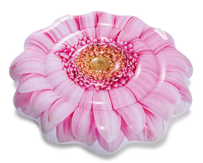 Airon de marguerite rose