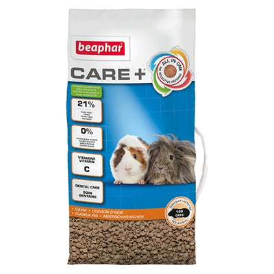 Beephar cavia