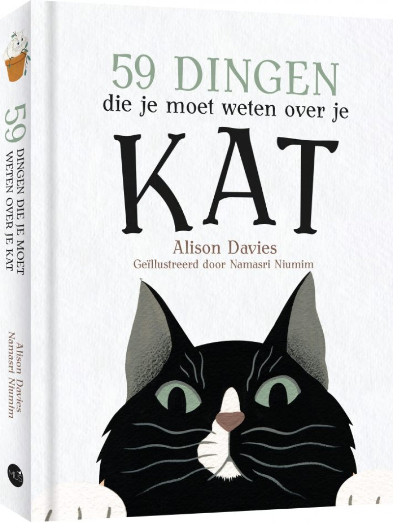 Moineau 59 choses que vous devez savoir sur votre chat