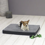 Sun garden buddy coussin orthopédique pour chien 79x60x8cm gris anthracite