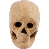 Https : www.ccobby.nl masque-squelette-h-10-cm-1-pièce