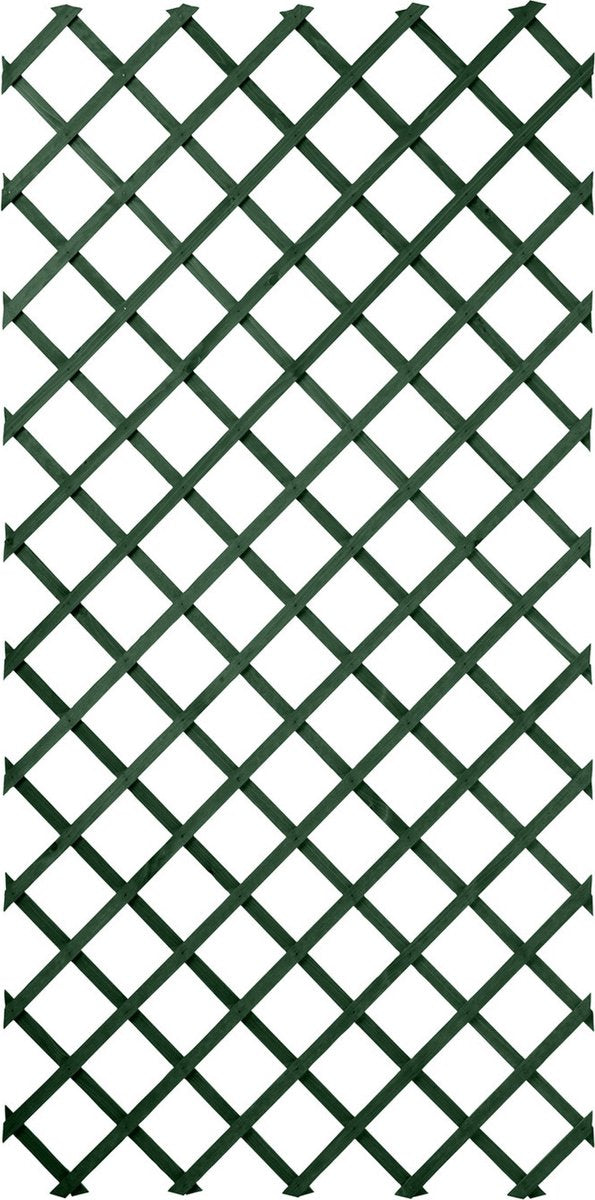 Rack d'escalade de plante naturel 100x200 cm Green 6041704