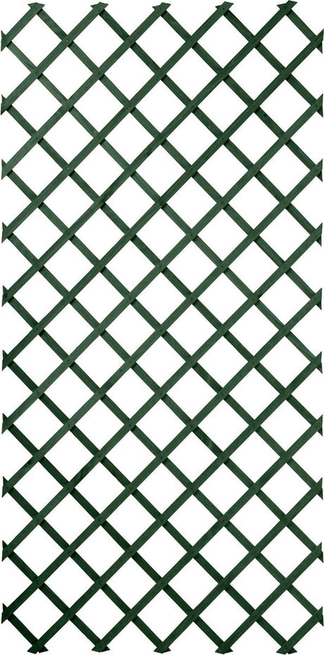 Rack d'escalade de plante naturel 100x200 cm Green 6041704