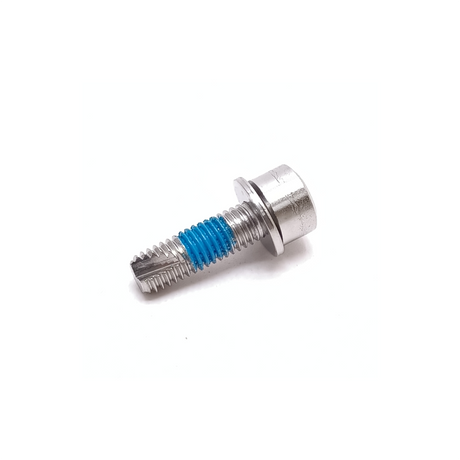 Allen Bout M5x12 (avec anneau inaccessible) en acier inoxydable. par 25