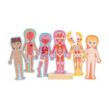 Puzzle magnétique Hape corps humain - 63 pièces.