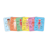 Puzzle magnétique Hape corps humain - 63 pièces.