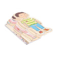 Puzzle en bois Beleduc garçon - 5 couches