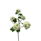 Roberts collection fleur artificielle boule de neige spray 83cm crème