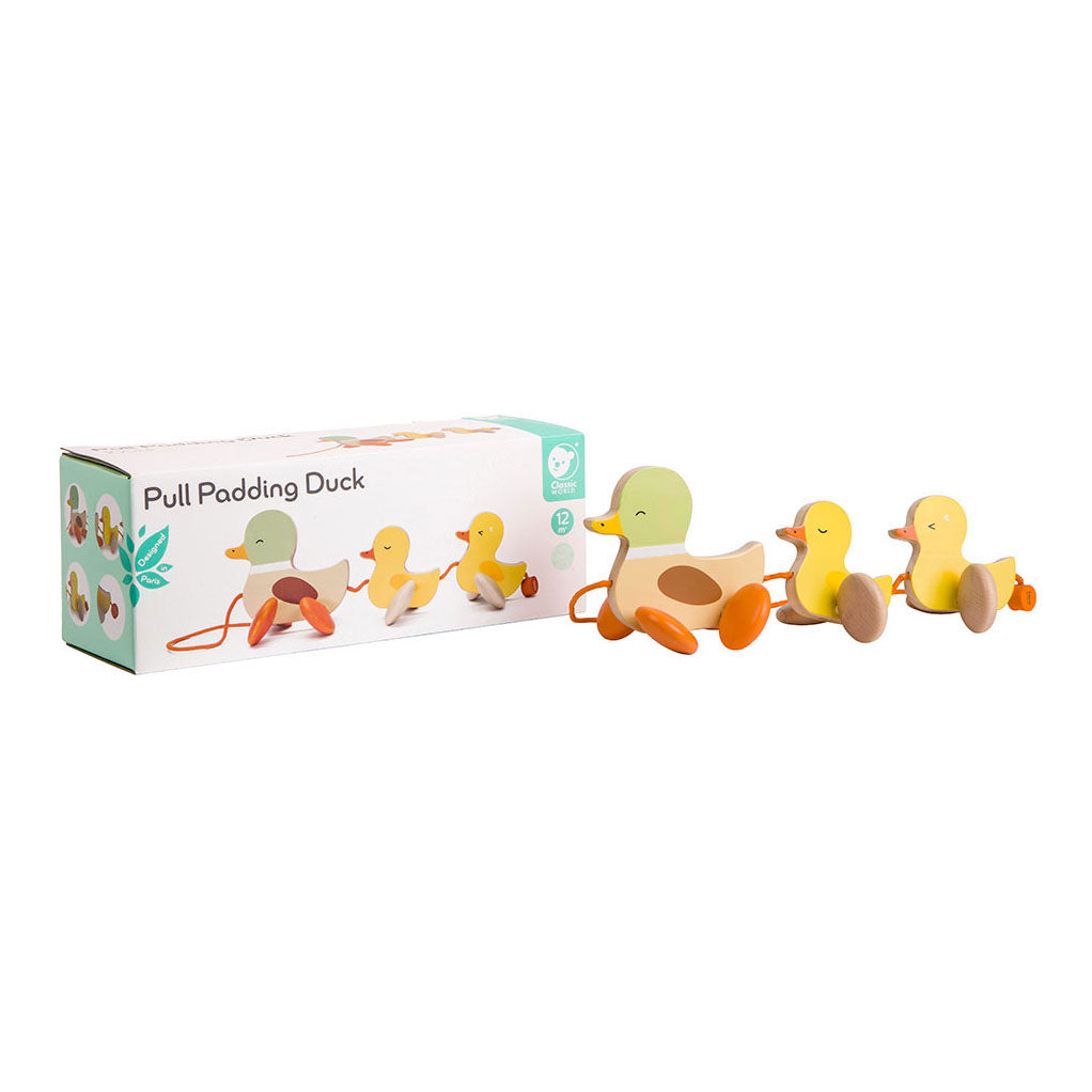 Canards à tirer en bois du monde classique