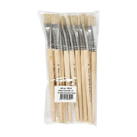 Brosses en bois de la société Creativ - non. 14, manche court, 12 pièces.