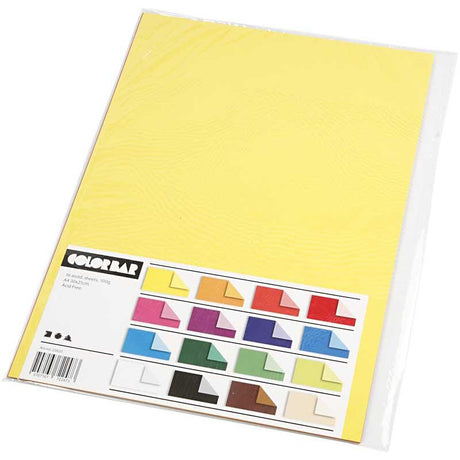 Société créative https : www.cchobby.nl color-bar-paper-a4-vel-210x297-mm-100-gr-16-div-vellen-1-doos