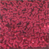 Creativ Company Glitter Glue Rose foncé, 25 ml