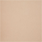 Société créative https : www.ccobby.nl hobbyfelt-a4-sheet-210x297-mm-thickness-1-5-2-mm-light-beige-10-sheet-1-box