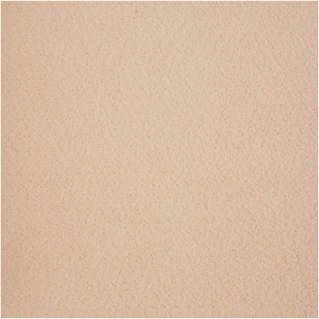 Creativ company hobby feutre beige clair A4, 10 feuilles