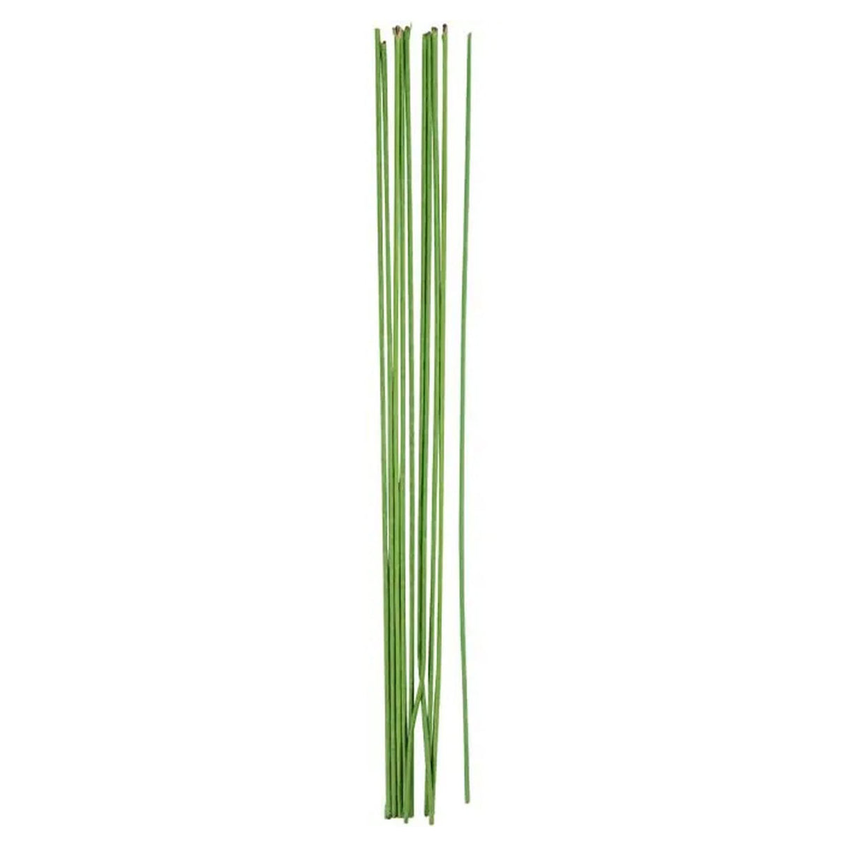 Creativ Company Fil de tige de fleur vert 2 mm, 20 pcs.