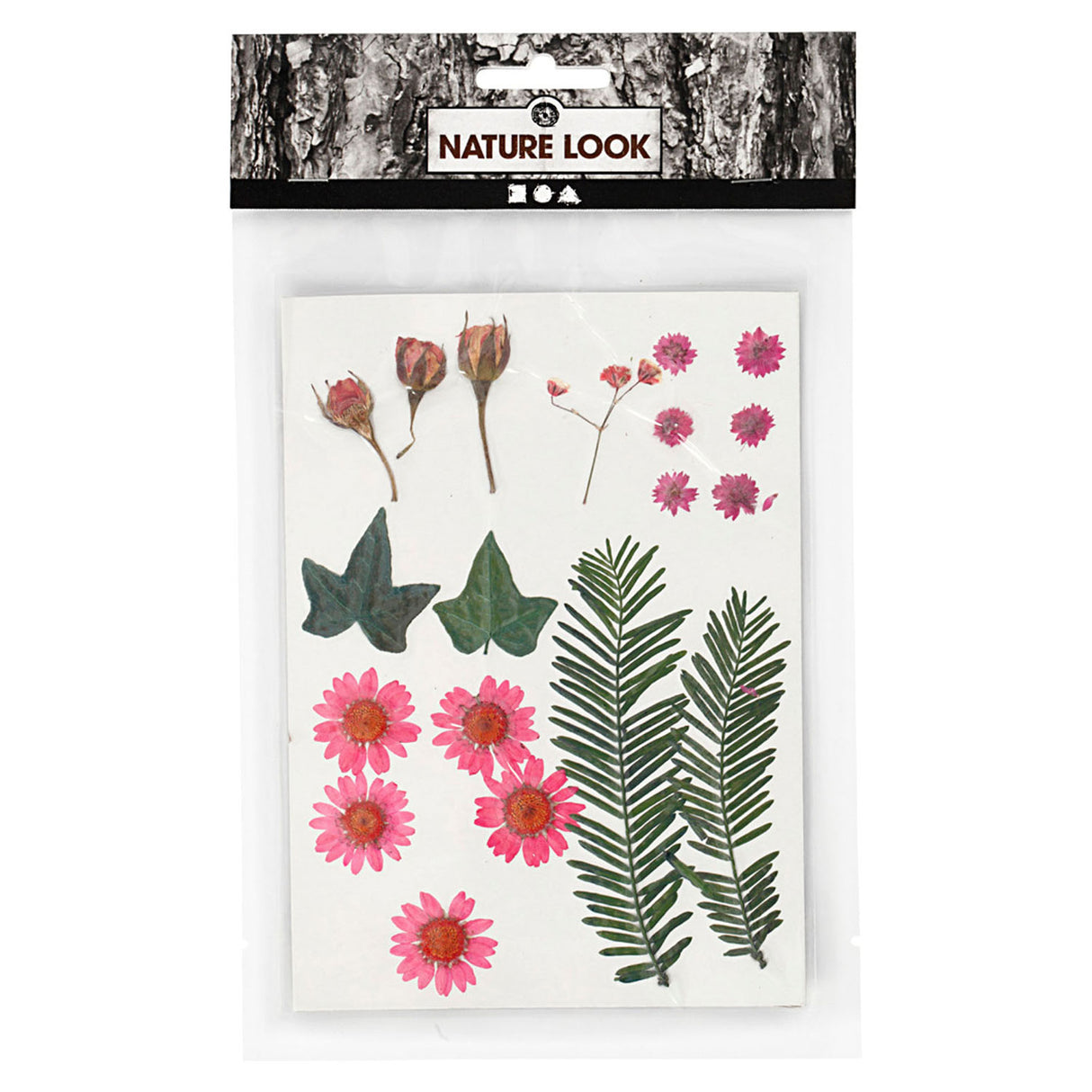 Entreprise créative https: www.ccobby.nl fleurs-et-feuilles-séchées-ca-19-piece-lightred-1-box