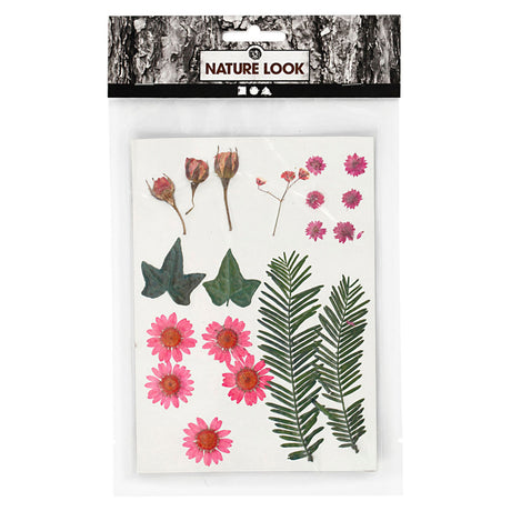 Entreprise créative https: www.ccobby.nl fleurs-et-feuilles-séchées-ca-19-piece-lightred-1-box