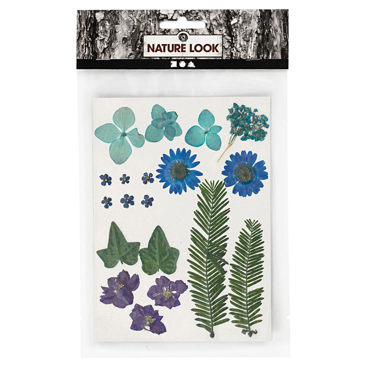Creativ company fleurs et feuilles séchées bleues, 19 pcs.