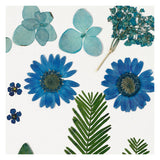 Creativ company fleurs et feuilles séchées bleues, 19 pcs.